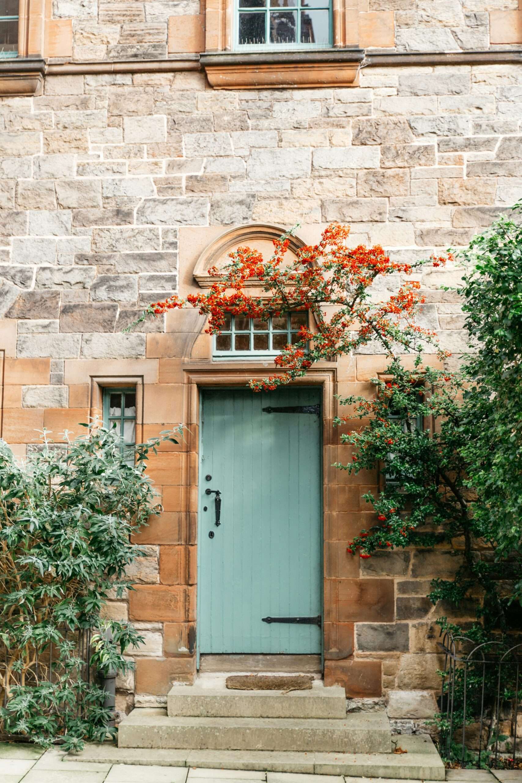 lifestyle screens garage door screen: The Ultimate Guide